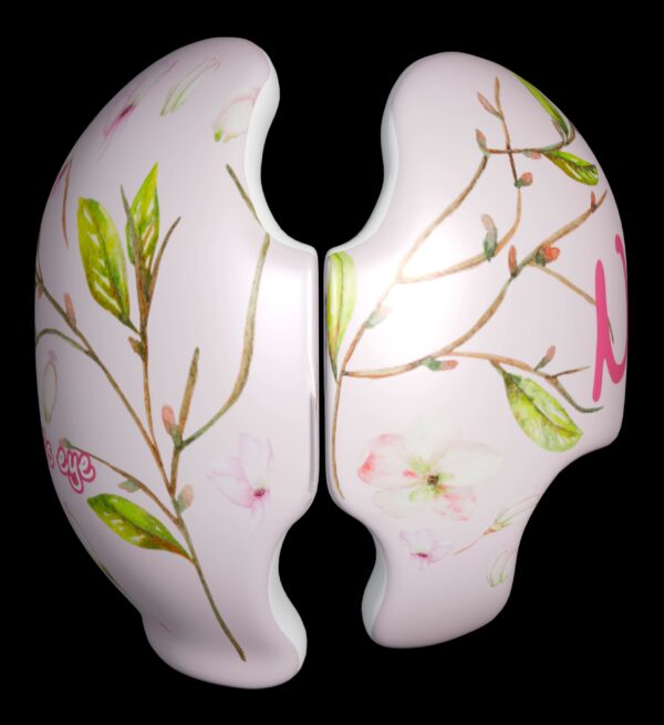 Apple Blossoms Cranial band decals