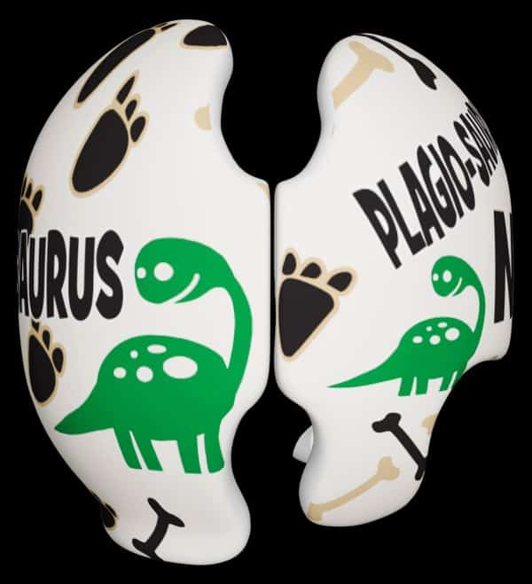 Plagio-Saurus cranial band decals